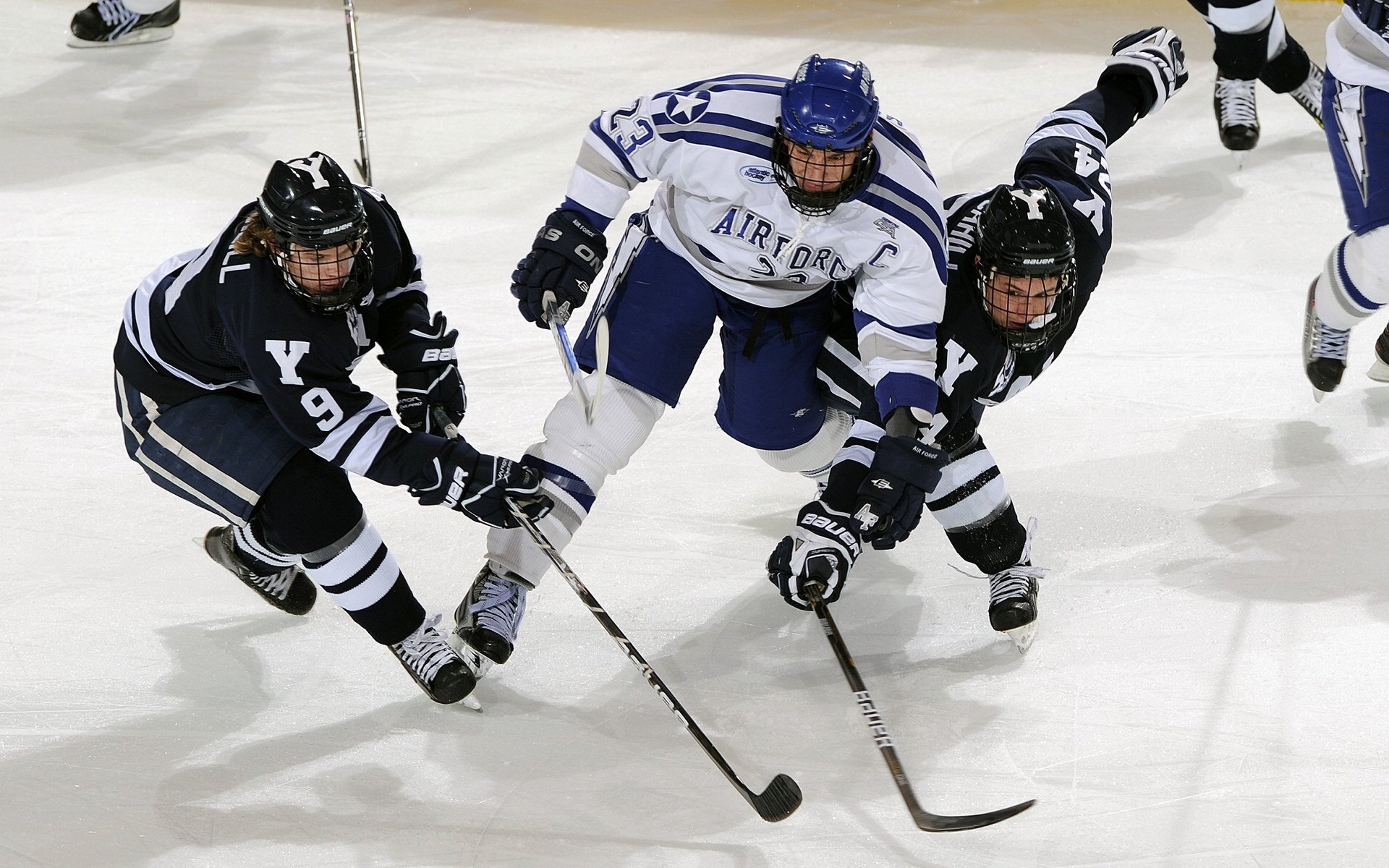 欧冠半决赛焦点战,公牛强行终结国王